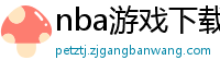 nba游戏下载